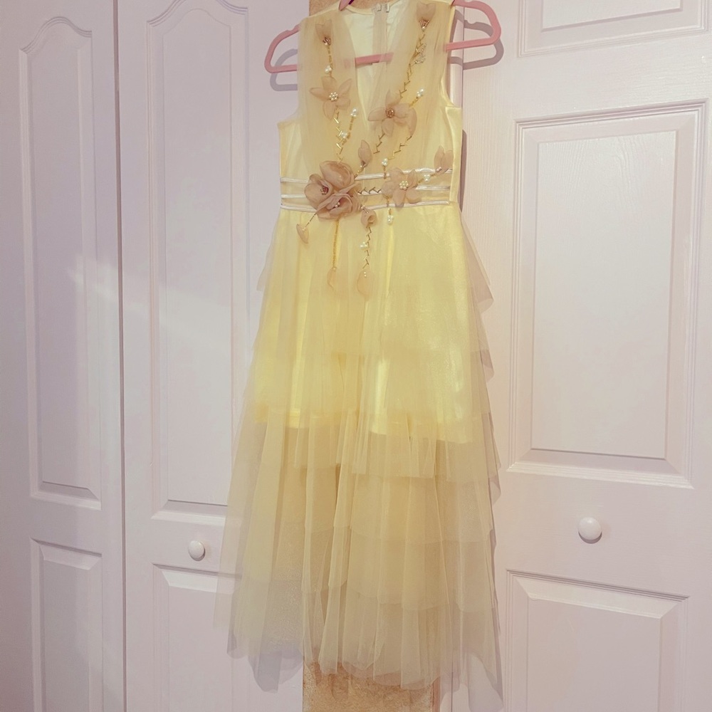 ✨✨Fancy Dress for any party events✨✨🌸